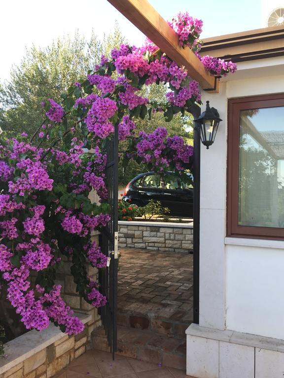 Vera Bed And Breakfast Valica Экстерьер фото